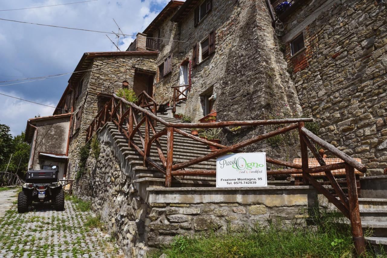 Piccolo Sogno B&B Sansepolcro Extérieur photo